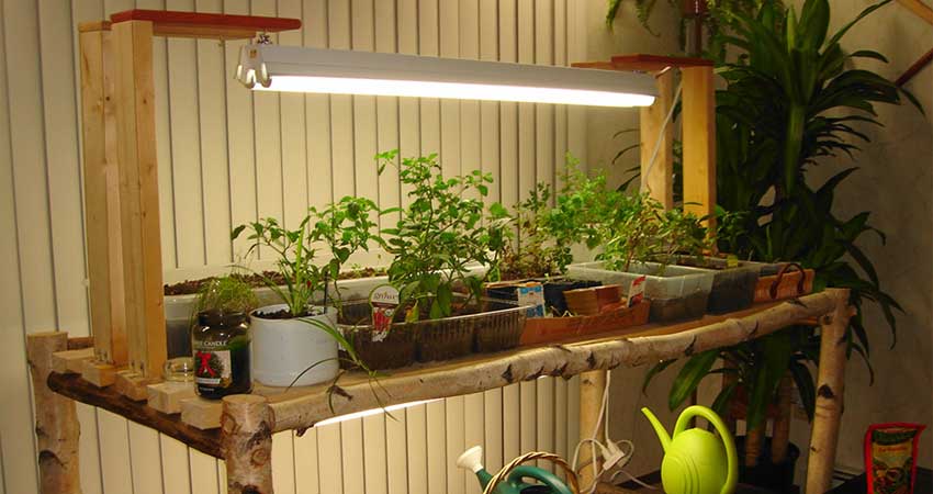 نور مصنوعی برای گیاه آپارتمانی
