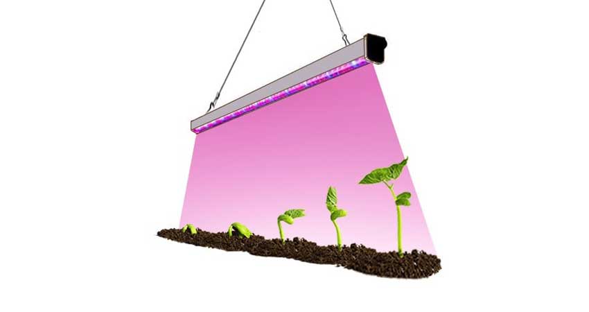 نحوه ساخت نور مصنوعی برای گیاه آپارتمانی