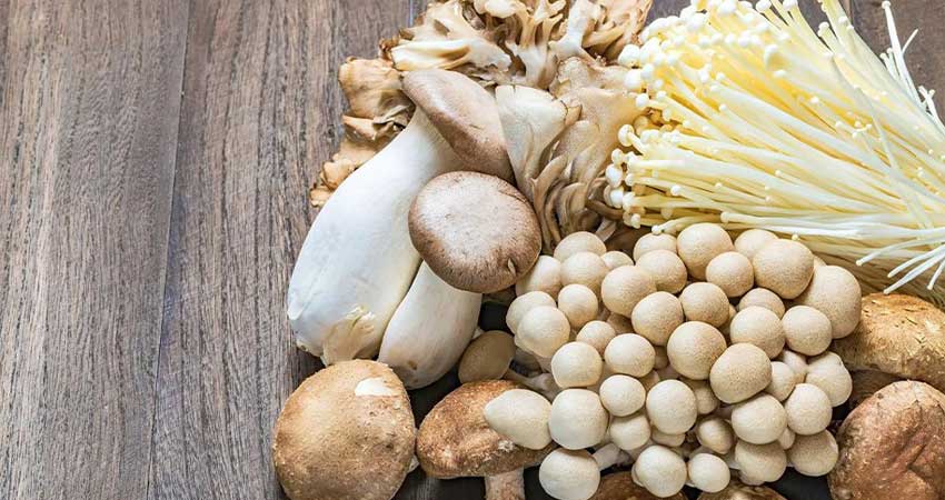 قارچ چه ویتامینی دارد؟