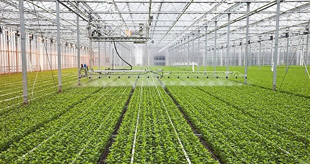 رشد بازار گلخانههای هوشمند در ایران