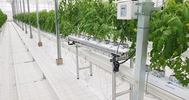 چگونگی هوشمند سازی گلخانهها