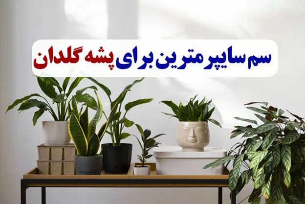 سم سایپرمترین برای پشه گلدان