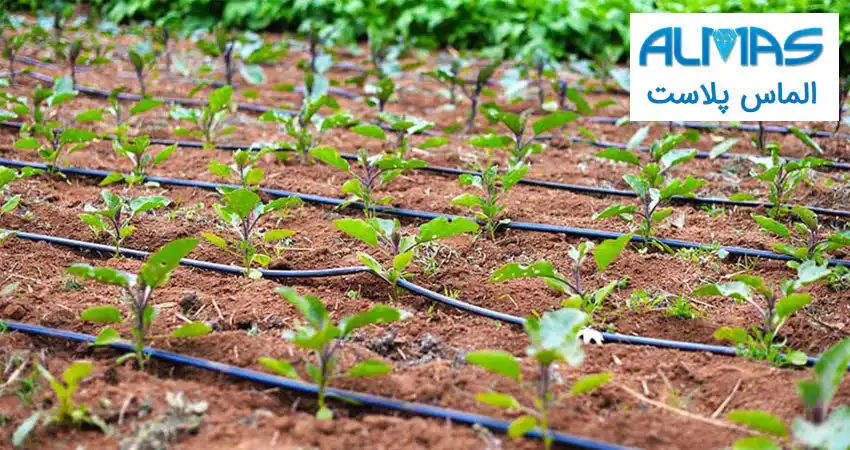 انواع آبیاری قطره ای