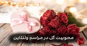 محبوبیت گل ولنتاین