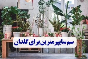 سم سایپرمترین برای گلدان